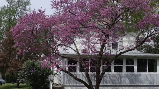 Exterior detail - Olde towne café and inn (Pataskala)