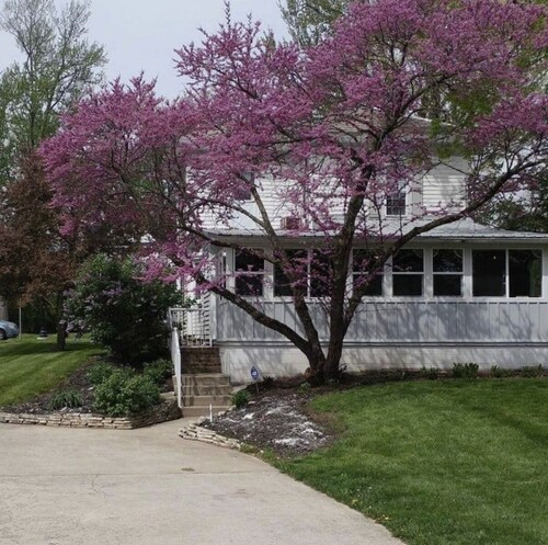 Olde towne café and inn