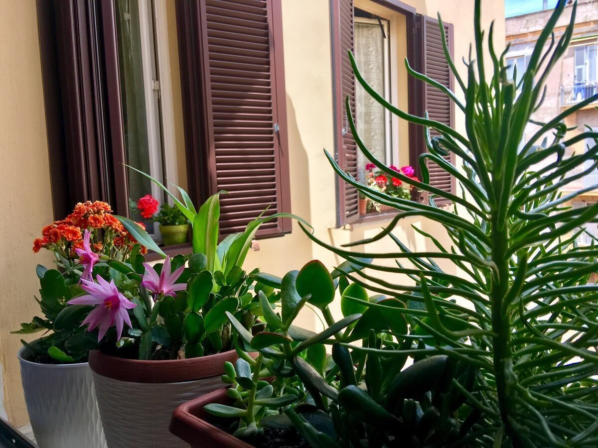 Photo - B&B Smart Rooms