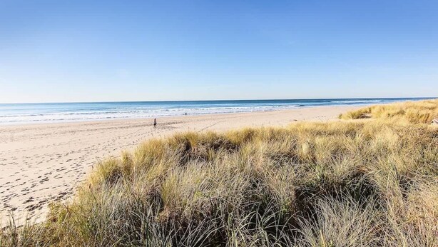 Una playa con arena y césped en primer plano, y el océano al fondo.