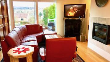 TV, peis, Netflix og DVD-spiller