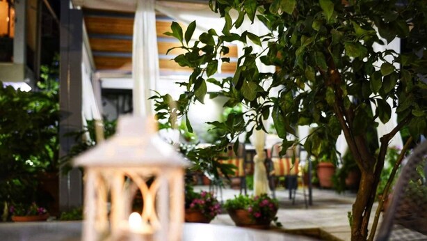 Une lanterne dans un espace intérieur bien éclairé, avec des plantes en pot et une structure en bois en arrière-plan.
