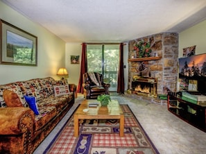 TV, fireplace, DVD player, video library