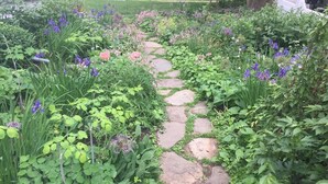 Ein Garten mit einem Kiesweg, umgeben von verschiedenen Pflanzen und Blumen.
