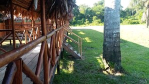 A wooden deck with a thatched roof, leading to a grassy area with a palm tree. - Amazon Journeys Lodge & Expedition (Indiana)