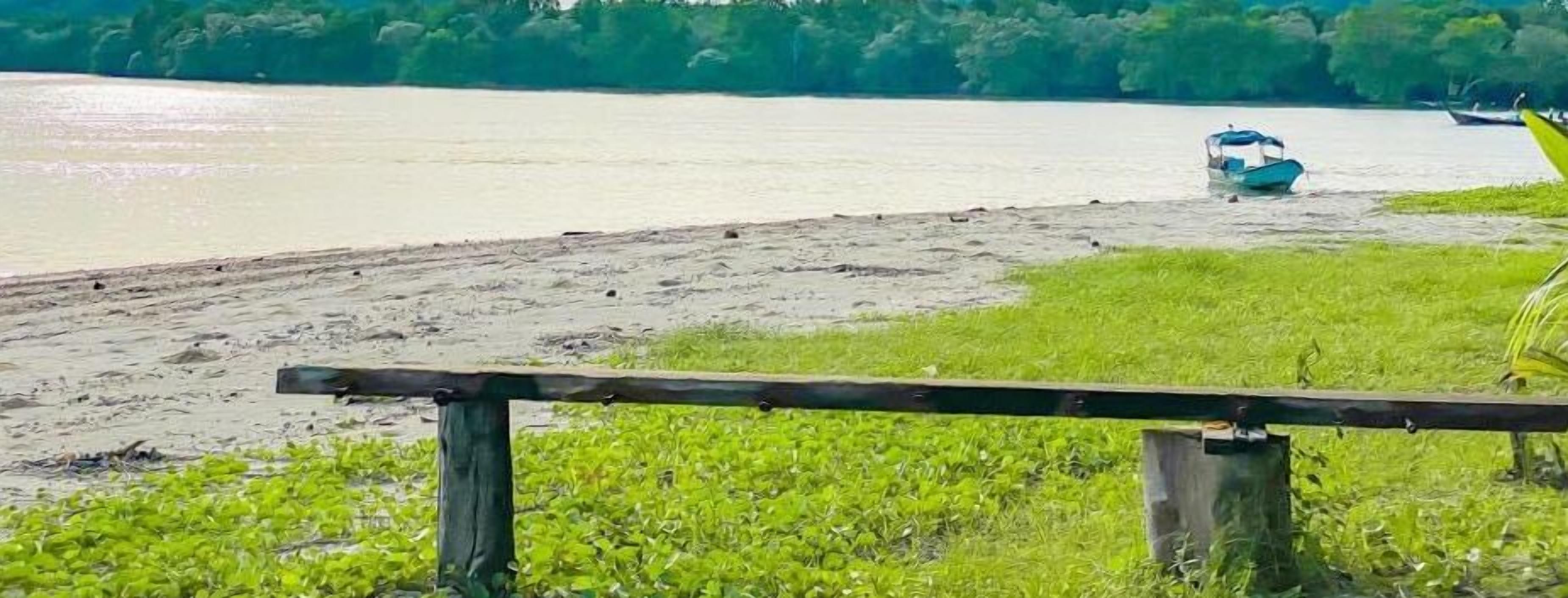 A riverbank with a boat docked on the water, a wooden fence, and green vegetation.