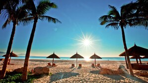 A beach with palm trees, sun umbrellas, and lounge chairs. - Seahorse Tropical Natalie Da Nang Hotel by Haviland (Da Nang)