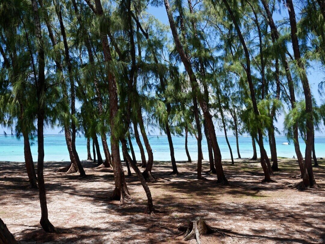 Plage