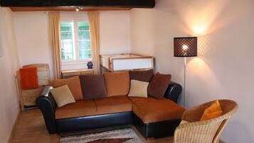 Smart-tv, een open haard, boeken en een filmbibliotheek