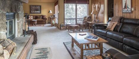 TV, fireplace, DVD player