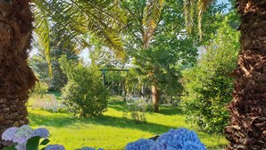 A lush garden with a variety of plants and a swing set. - T4 + terrace - Meublé de tourisme 3*** - Basque Coast / Sea and mountains (Saint-Pée-Sur-Nivelle)