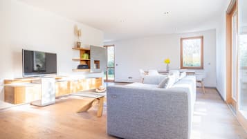 Smart-TV, Kamin, Videospiele, DVD-Player