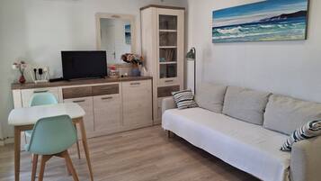 Älytelevisio, kirjoja