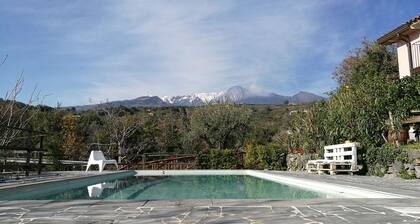 House surrounded by greenery surrounded by olive trees lemons chestnut grove and vineyard