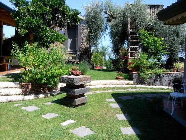 Terraza o patio