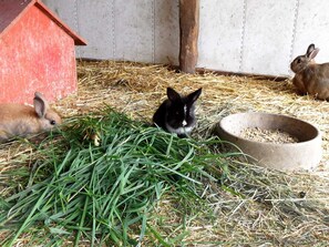 Uklassifisert bilde, 5 av 18, knapp