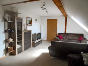 Fernseher