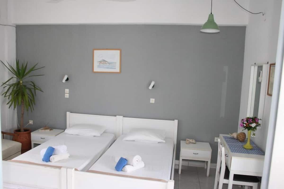 Camera con letto matrimoniale o 2 letti singoli | 1 camera, una scrivania, insonorizzazione
