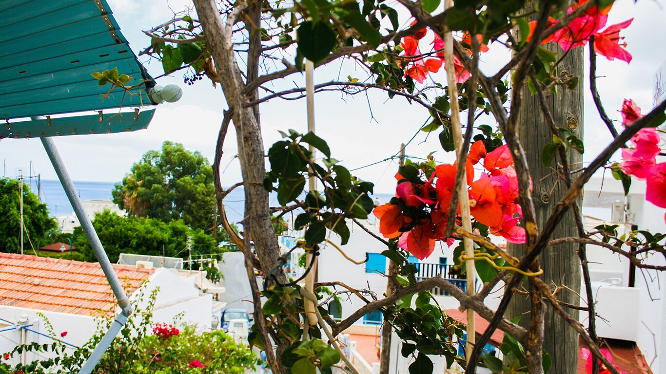 Vista desde la propiedad