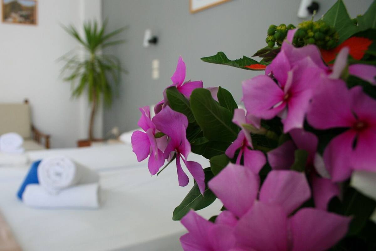 A hotel room with a bed, a chair, and a plant.