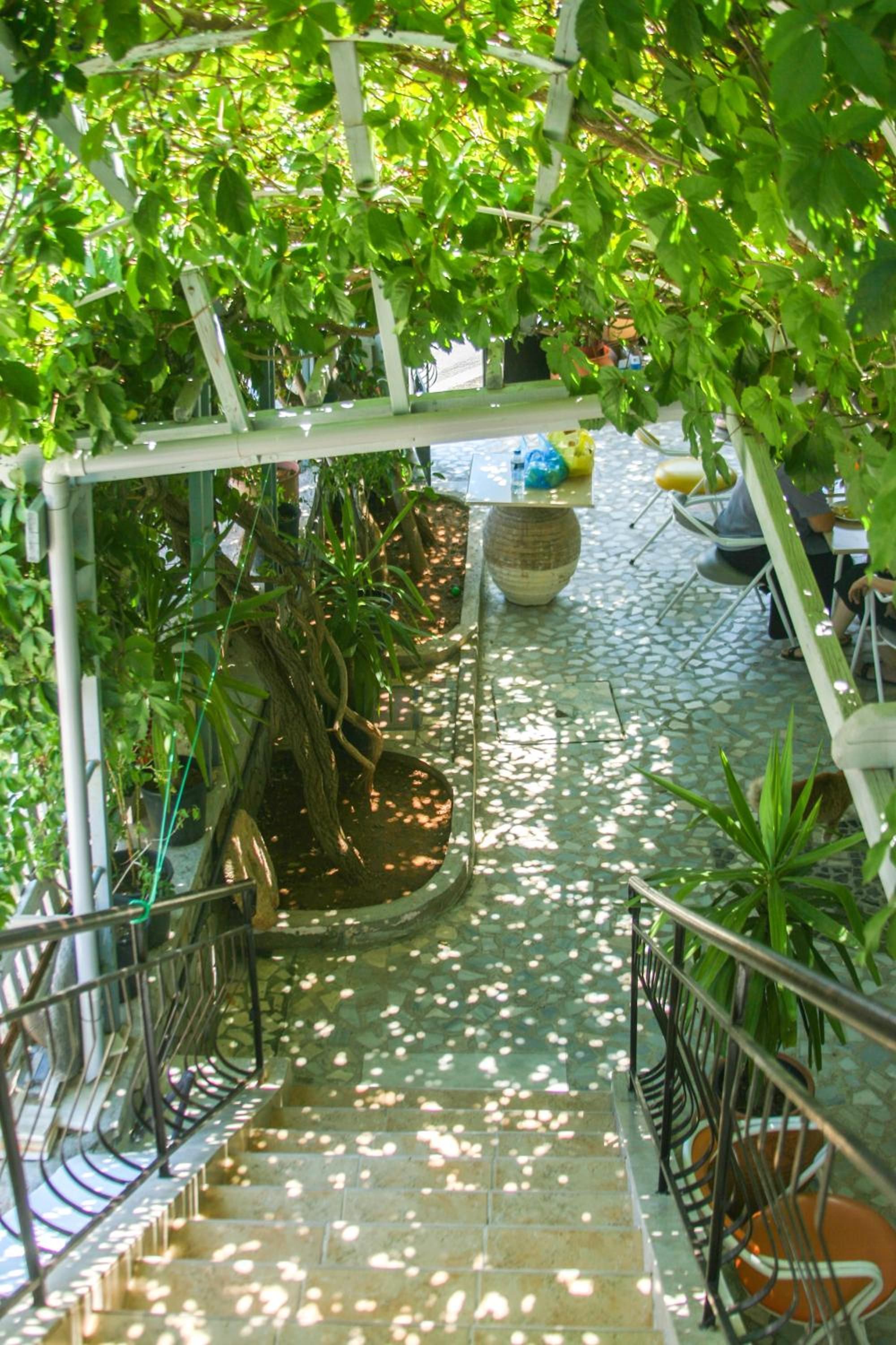 A covered outdoor area with a stone pathway, a central planter, and a white trellis structure.