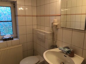 Secador de cabelo, toalhas de banho, papel higiênico 