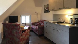 A compact living space with a kitchenette, a sofa, a television, and a window.