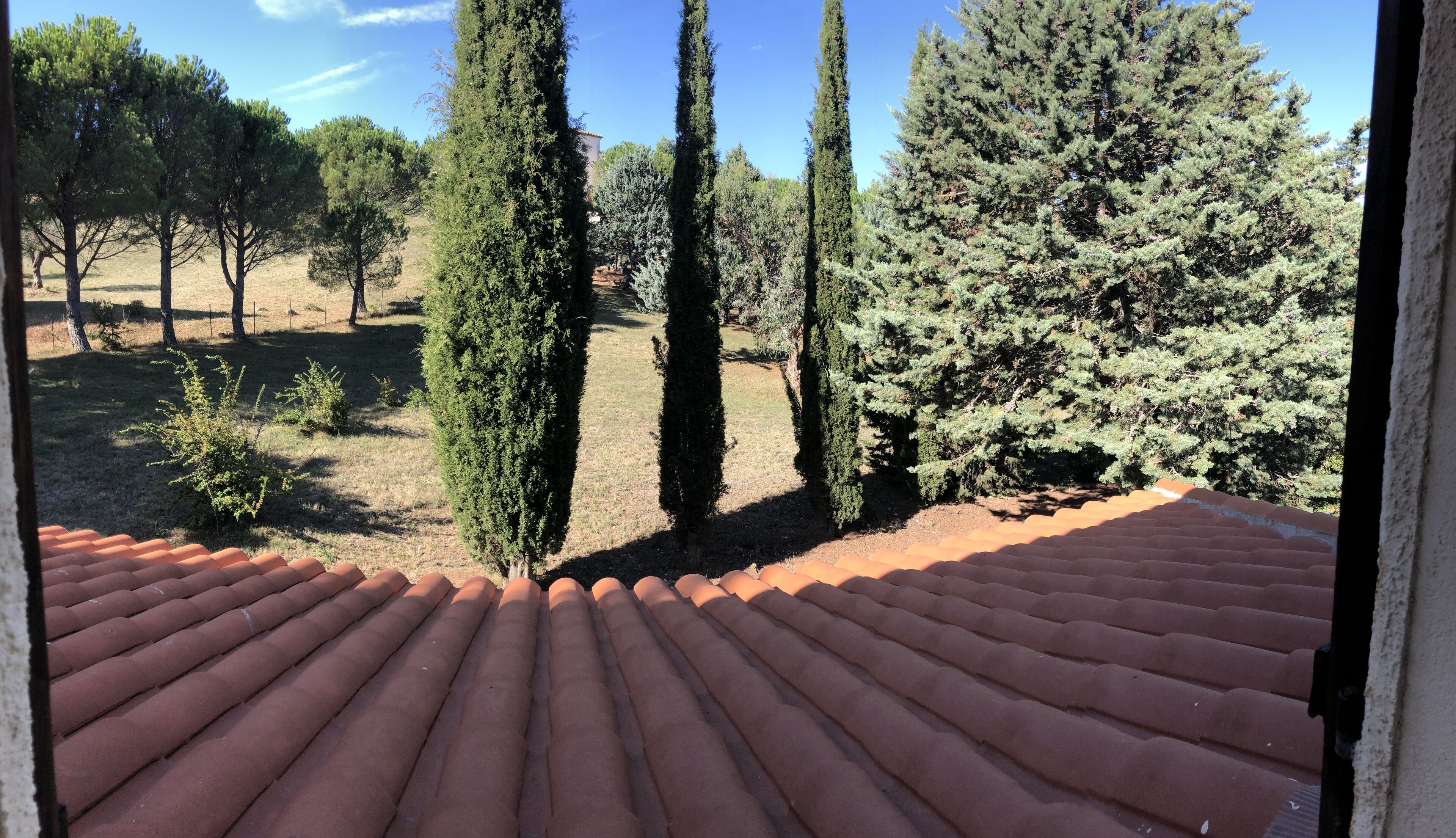 A view from a window overlooking a garden with tall trees and a tiled patio.