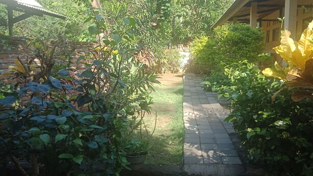 A garden pathway with lush greenery and a brick wall on one side. - T&T Homestay (Kuta)