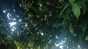 A courtyard with a covered seating area, a small building, and potted plants. - T&T Homestay (Kuta)