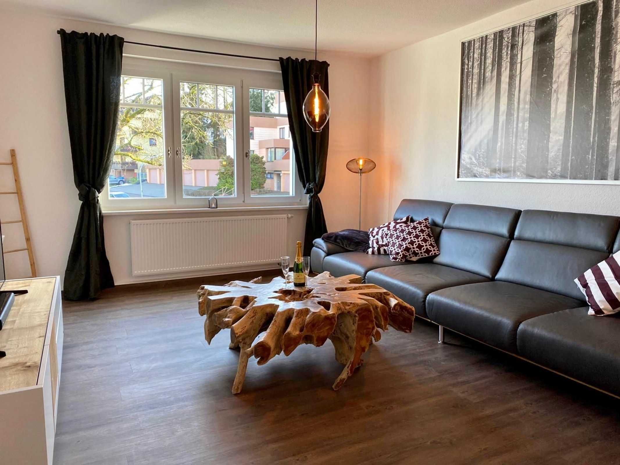 Flat-screen TV, Netflix, streaming services