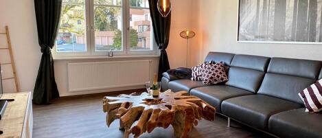 Flat-screen TV, Netflix, streaming services