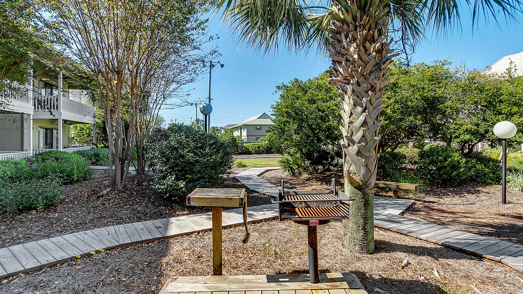 A pathway leading to a wooden bench area with a palm tree and a lamp post.