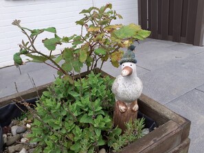 Imagen sin descripción, 5 de 15, botón