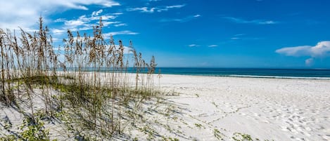 On the beach