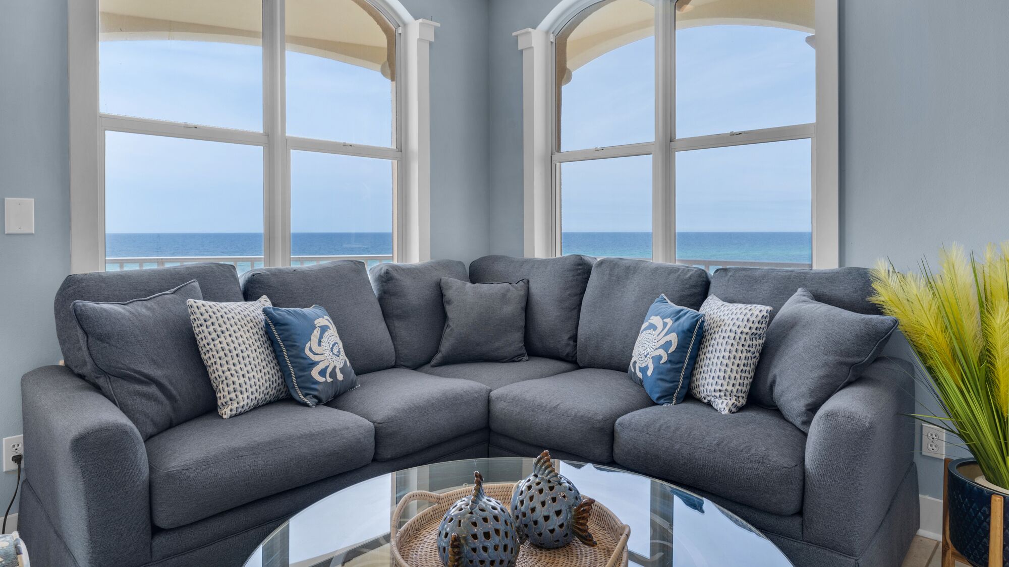 智能电视、DVD 播放器