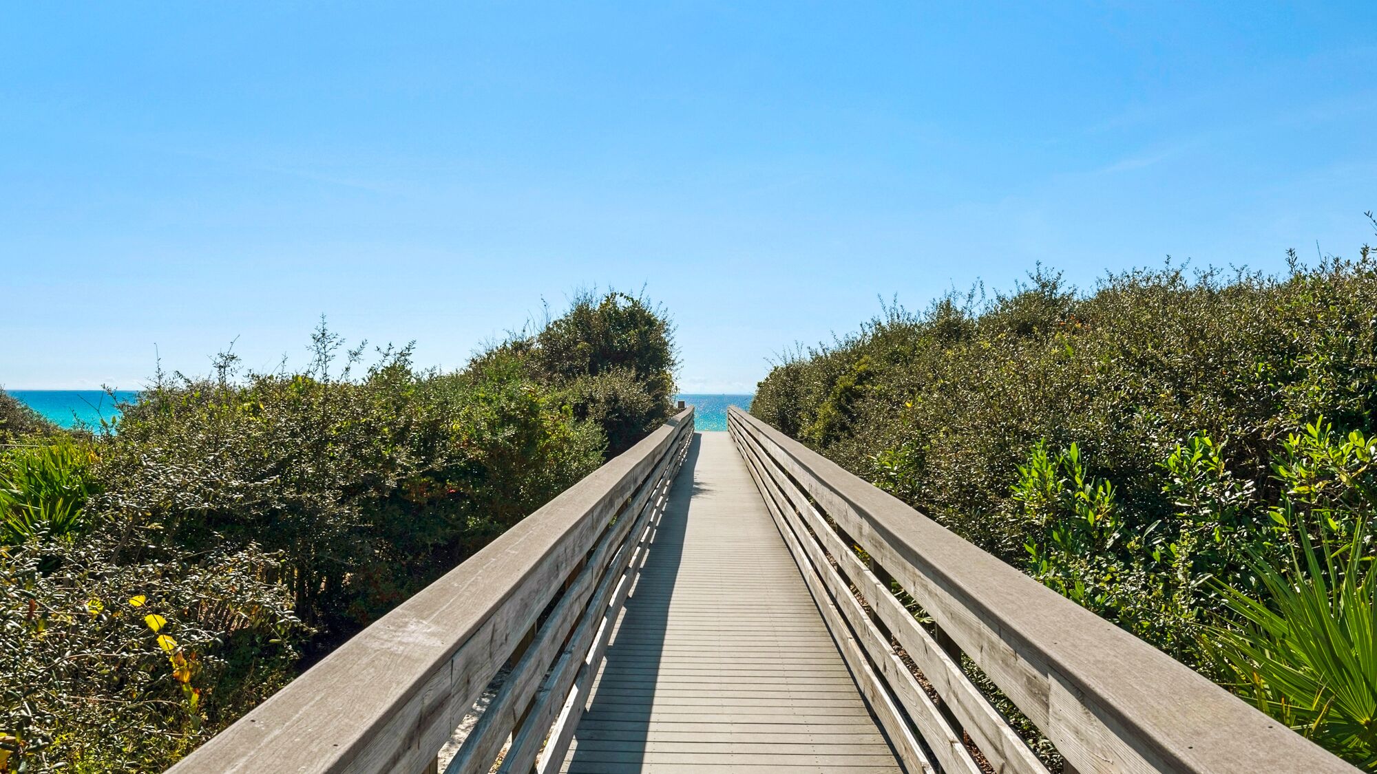 Un passeig de fusta que condueix a una platja, envoltat de vegetació densa.
