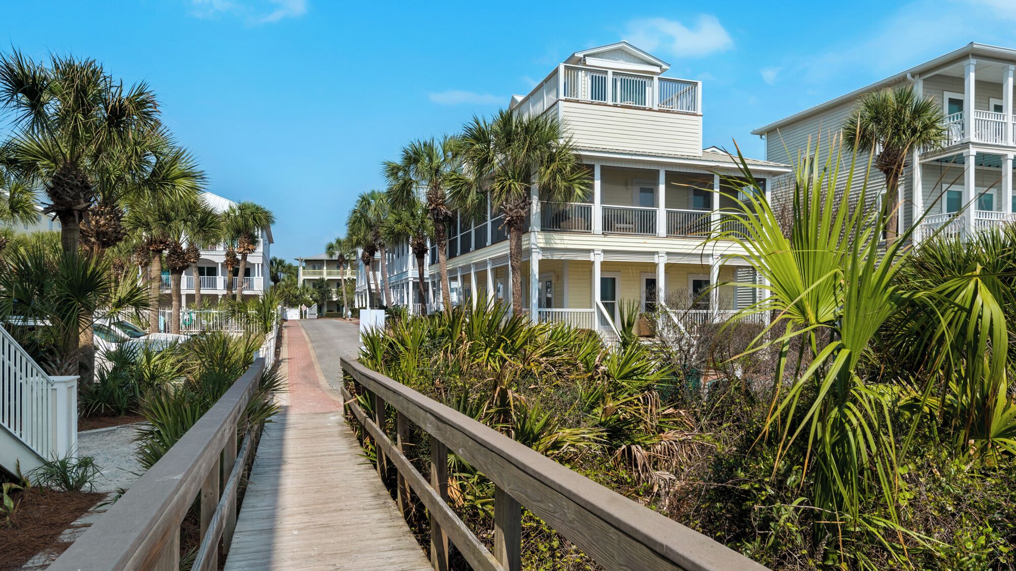 A coastal walkway lined with palm trees and beachfront buildings.