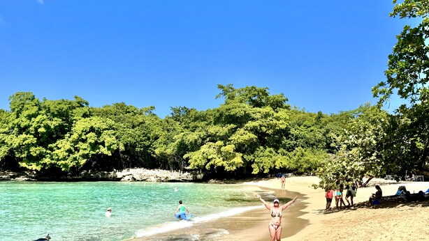 A beach with clear turquoise water, a sandy shore, and dense green foliage in the background. - Shell House, Dominican Caracol with 14m Pool and Ocean view (Cabrera Maria Trinidad Sanchez)