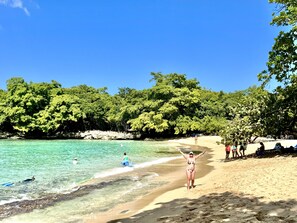 A beach with clear turquoise water, a sandy shore, and dense green foliage in the background. - Shell House, Dominican Caracol with 14m Pool and Ocean view (Cabrera Maria Trinidad Sanchez)