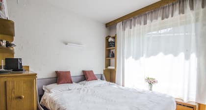 Comfort loft: central zone and garden.
