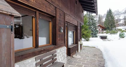 Comfort loft: central zone and garden.