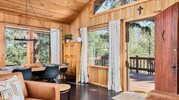 TV, fireplace, video games, DVD player