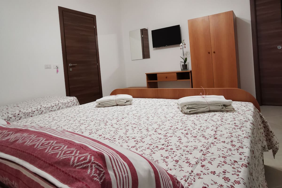 Un dormitorio con cama, armario, televisor y luz de techo.