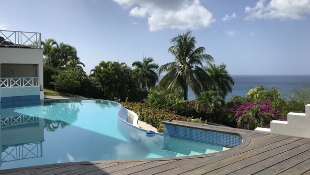 Une piscine dotée d’une terrasse en bois, entourée de plantes tropicales et de palmiers, et offrant une vue sur une étendue d’eau.