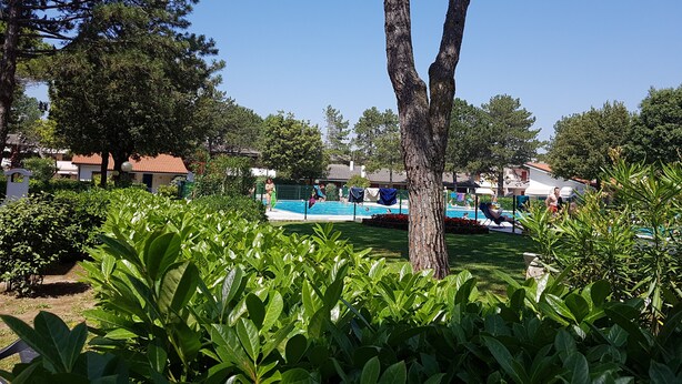 A pool area surrounded by lush greenery and trees, with a clear blue sky above.