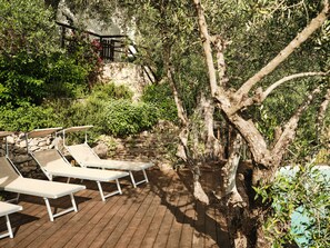 Property grounds - Superb Olive Grove House - Lovely Pool! Views LEANING TOWER! Near Pisa & Lucca.  (Pisa)
