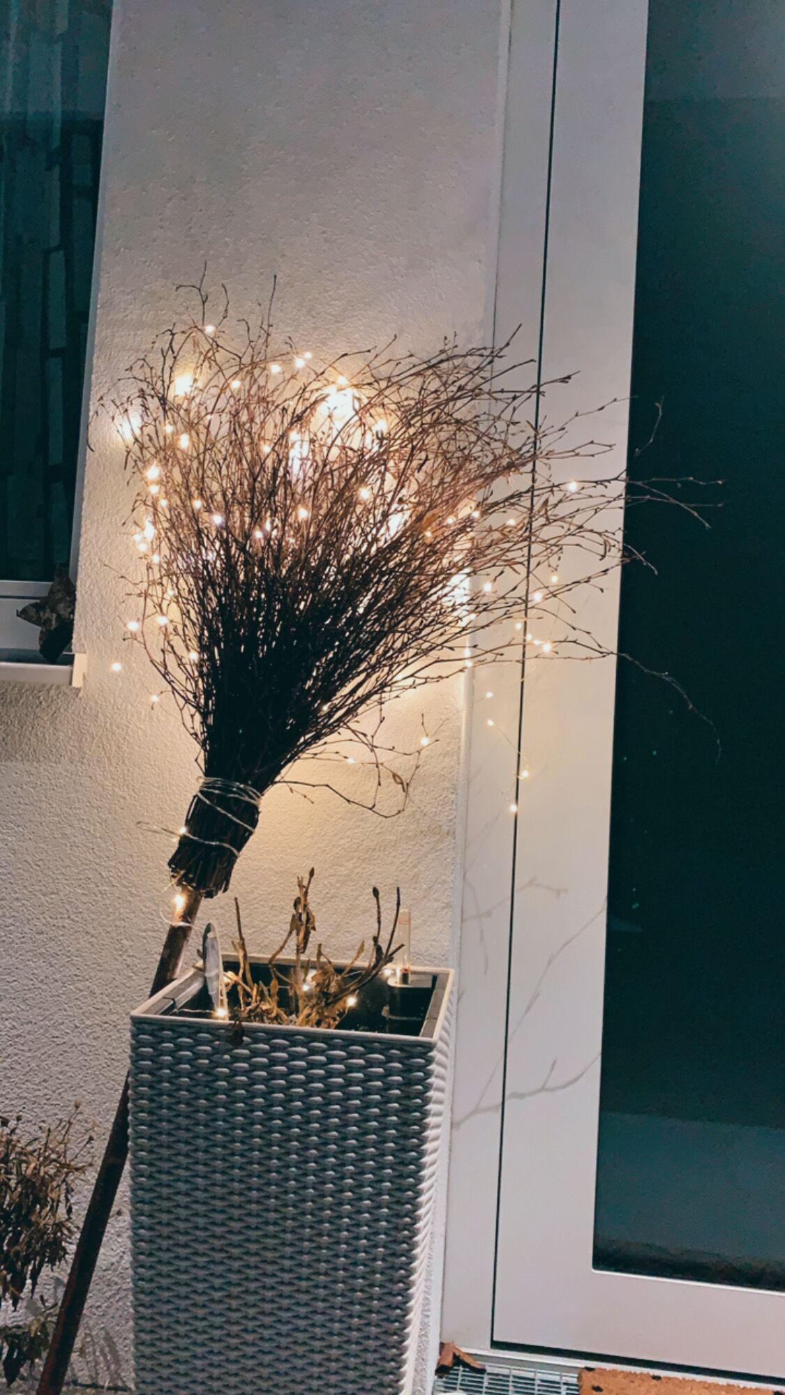 A decorative plant arrangement with lights in a corner by a window.