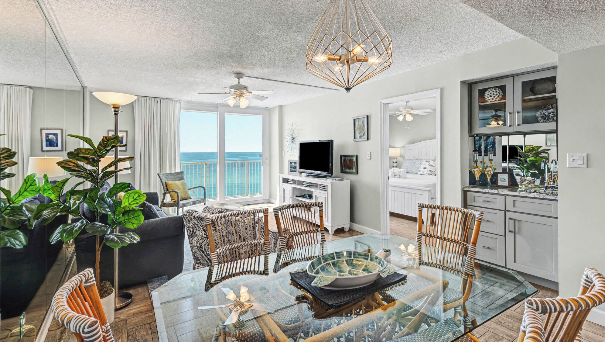 智能电视、DVD 播放器