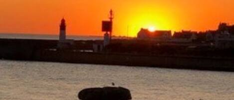 Plage, chaises longues
